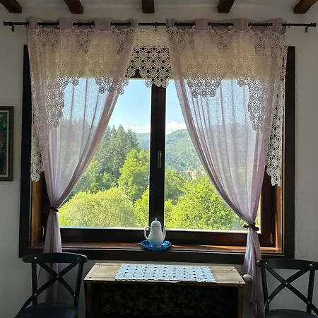 Opa Daire Paşmaklı