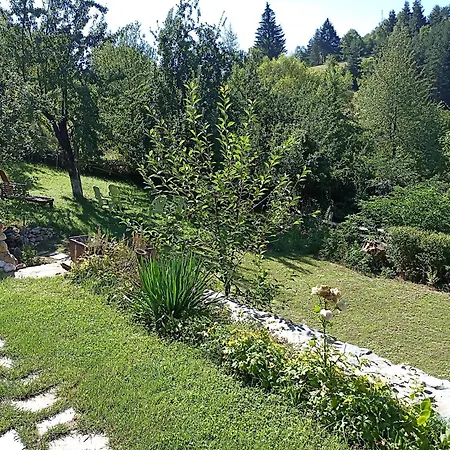 Opa Apartament